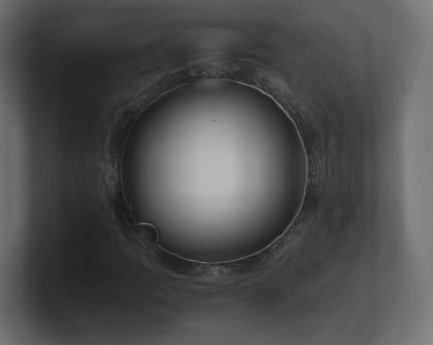 X0000101101109200806261506