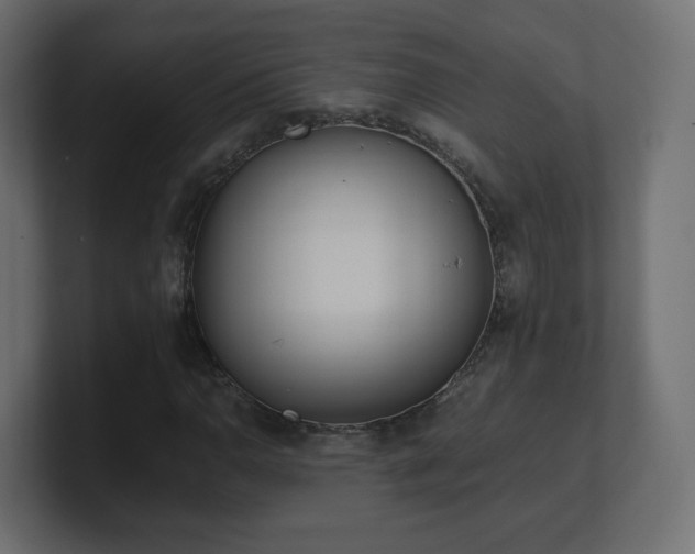 X0000101101110200806261506