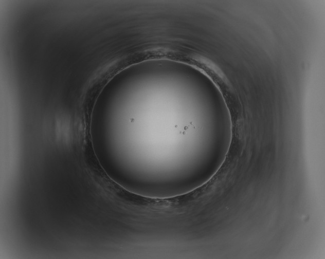 X0000101101111200806261506