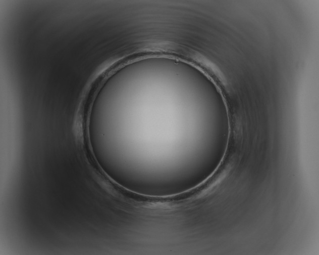 X0000101101114200806261506