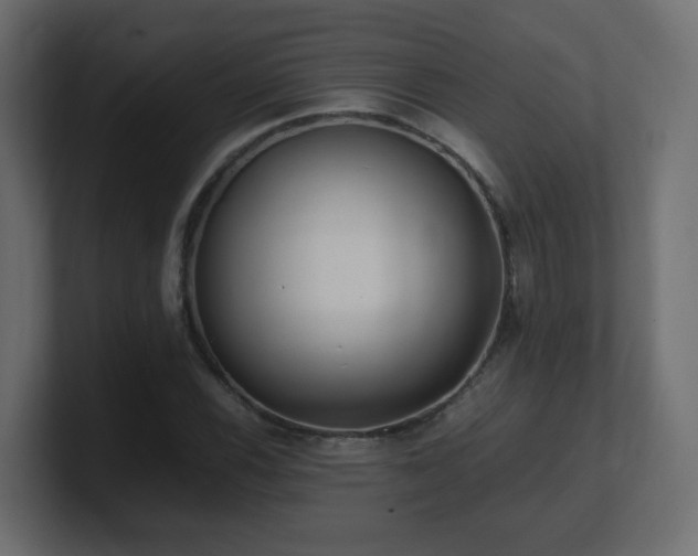 X0000101101116200806261506