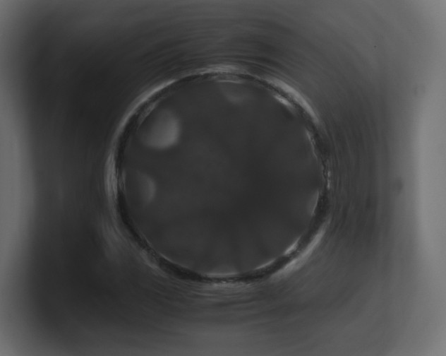 X0000101101117200806261506