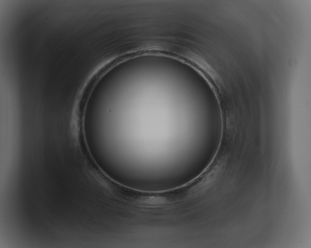 X0000101101119200806261506