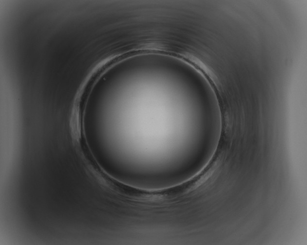 X0000101101123200806261506