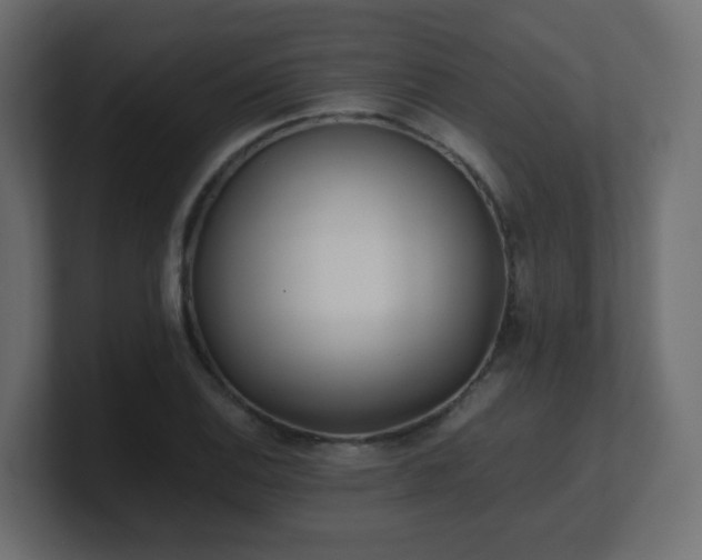 X0000101101124200806261506