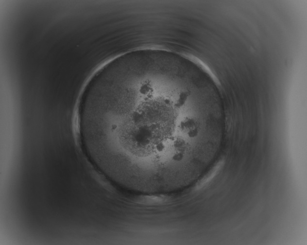X0000101101125200806261506