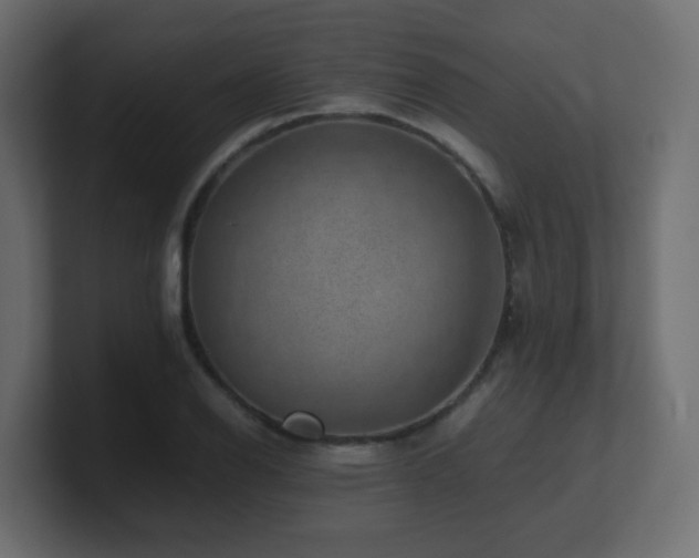 X0000101101126200806261506