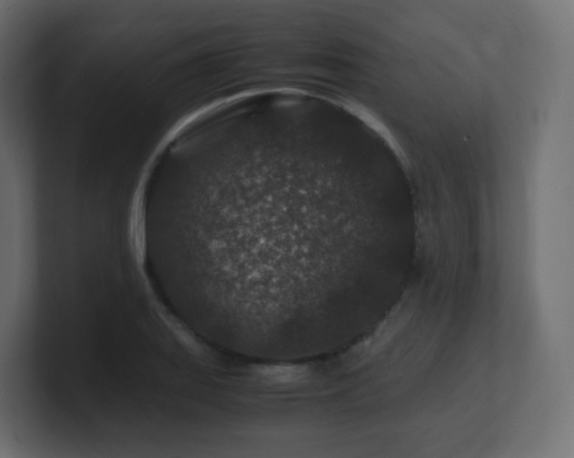 X0000101101127200806261506