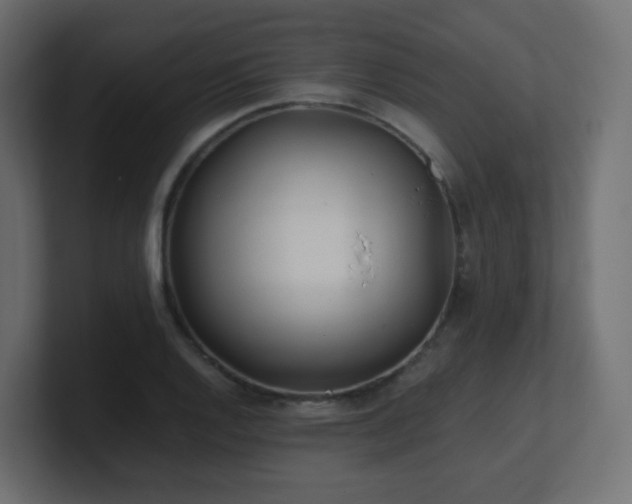 X0000101101128200806261506