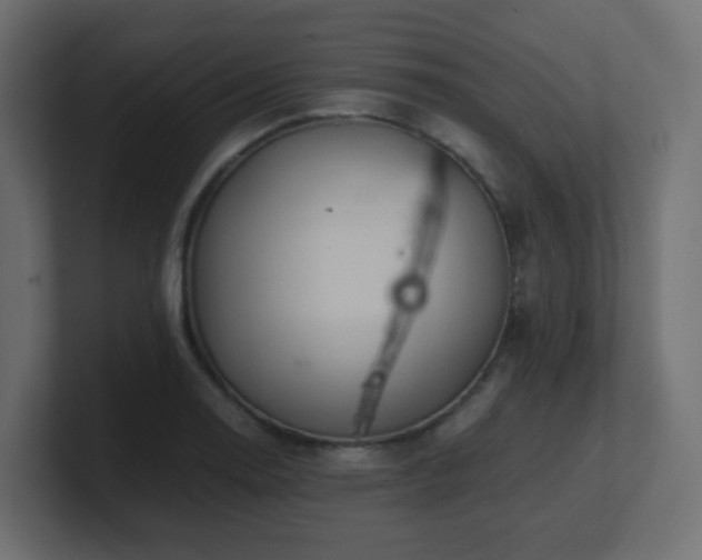 X0000101101130200806261506