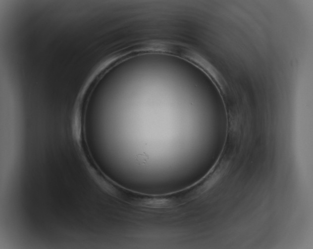 X0000101101131200806261506