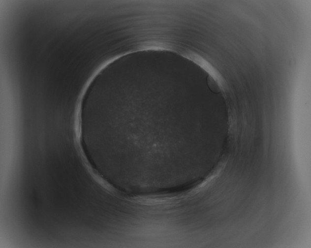 X0000101101132200806261506