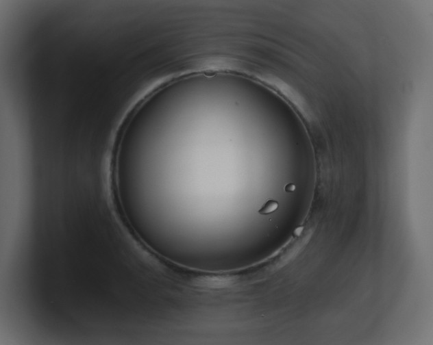 X0000101101134200806261506