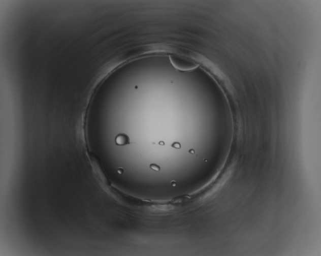 X0000101101137200806261507
