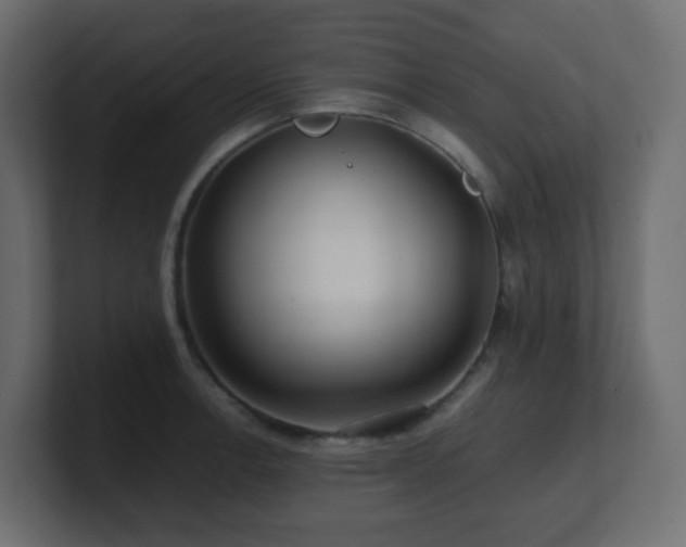 X0000101101138200806261507
