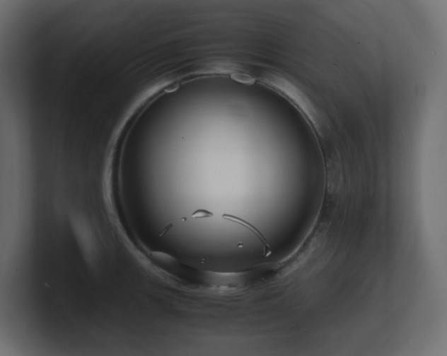 X0000101101139200806261507