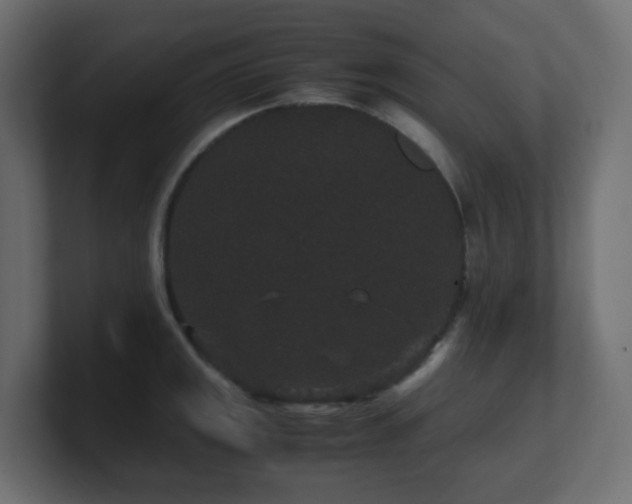 X0000101101141200806261507