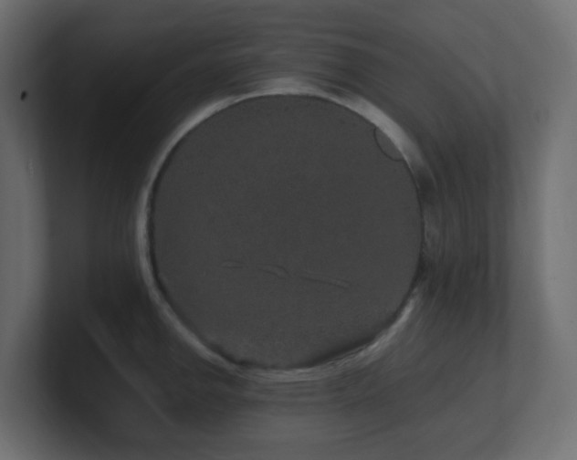 X0000101101142200806261507
