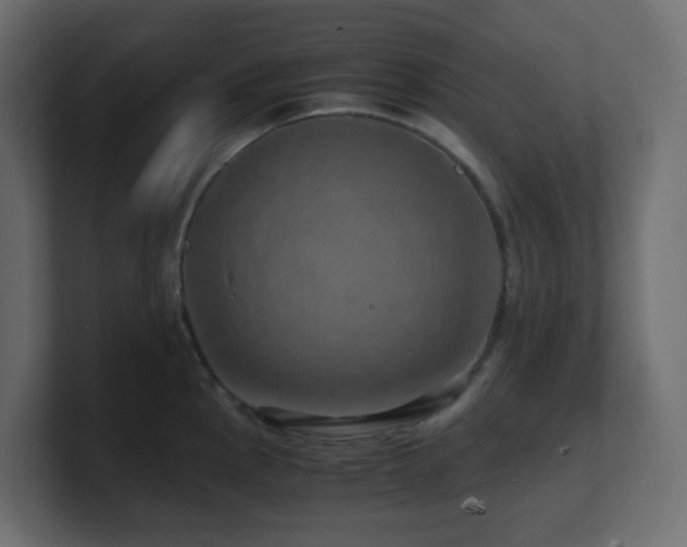 X0000101101145200806261507