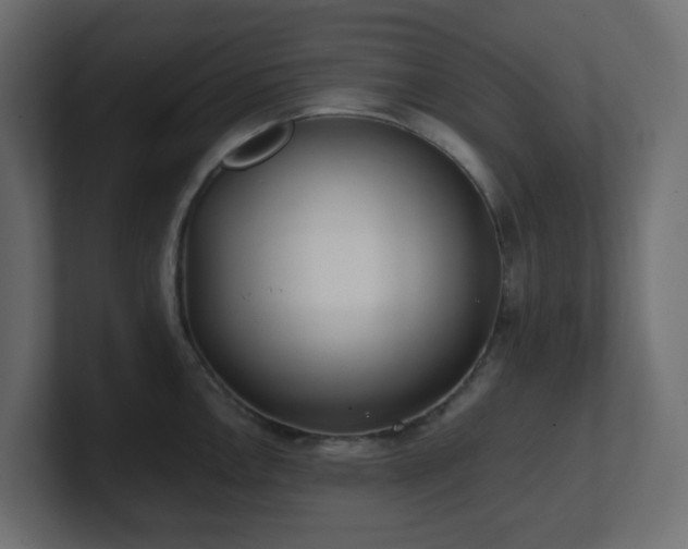 X0000101101146200806261507