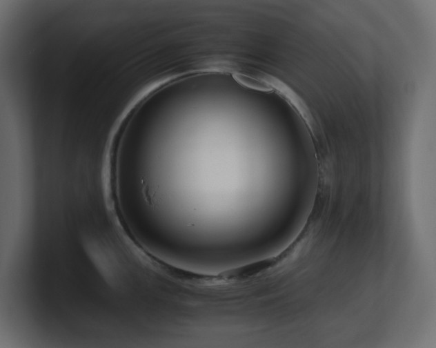 X0000101101147200806261507