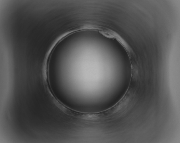 X0000101101148200806261507
