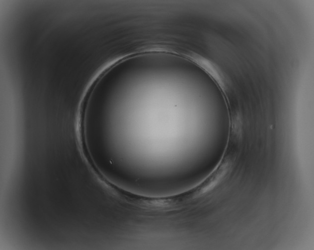 X0000101101149200806261507