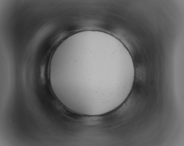 X0000101101150200806261507