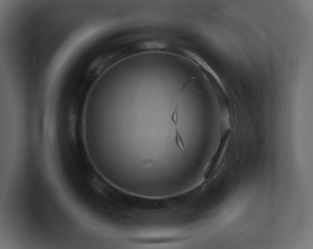 X0000101101151200806261507