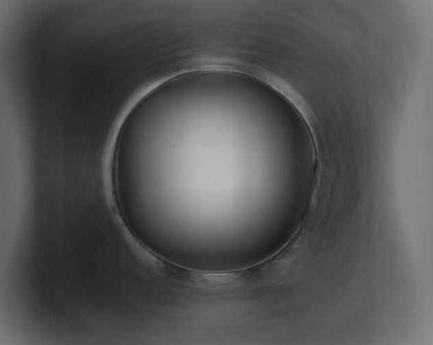 X0000101101152200806261507