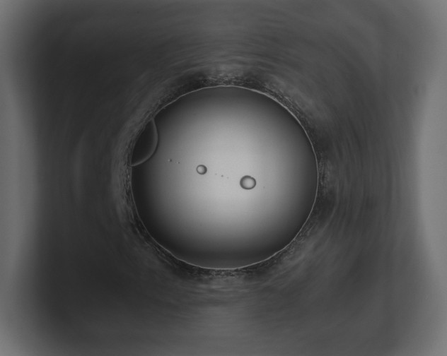 X0000101101153200806261506