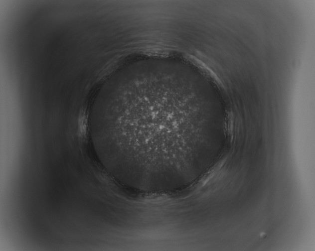 X0000101101154200806261506
