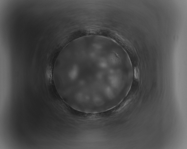 X0000101101155200806261506
