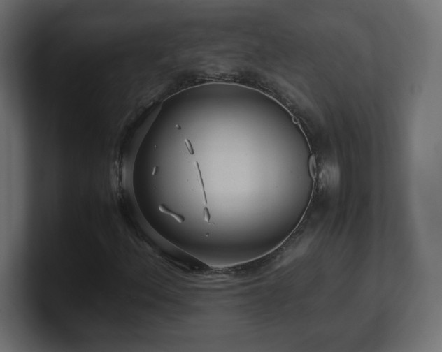 X0000101101156200806261506