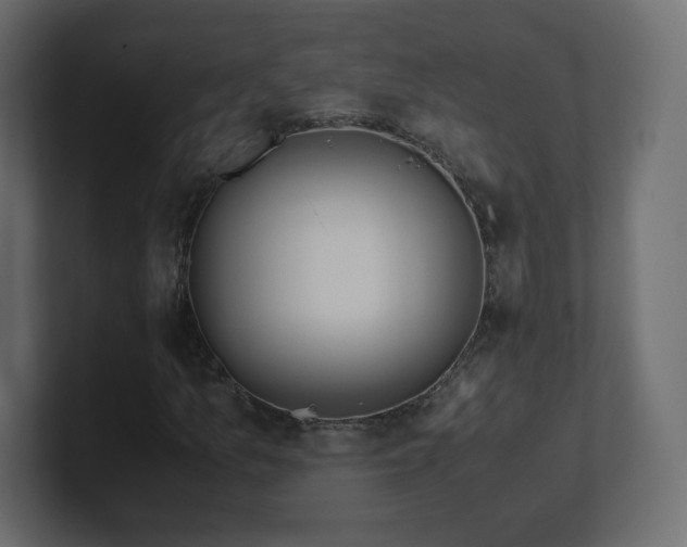 X0000101101157200806261506