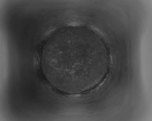X0000101101158200806261506