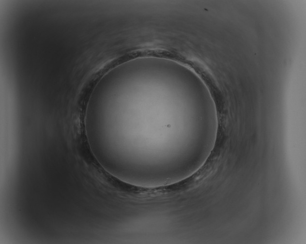 X0000101101159200806261506