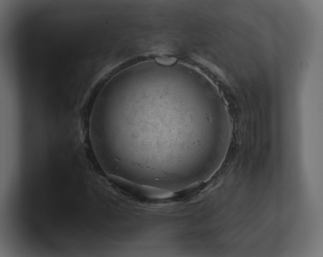 X0000101101160200806261506