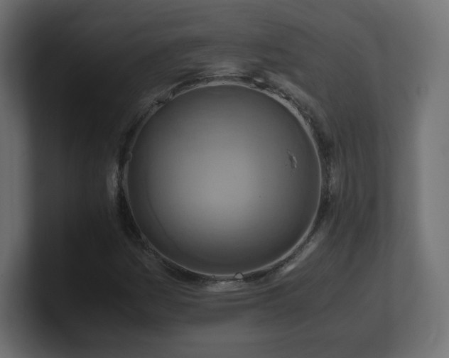X0000101101161200806261506