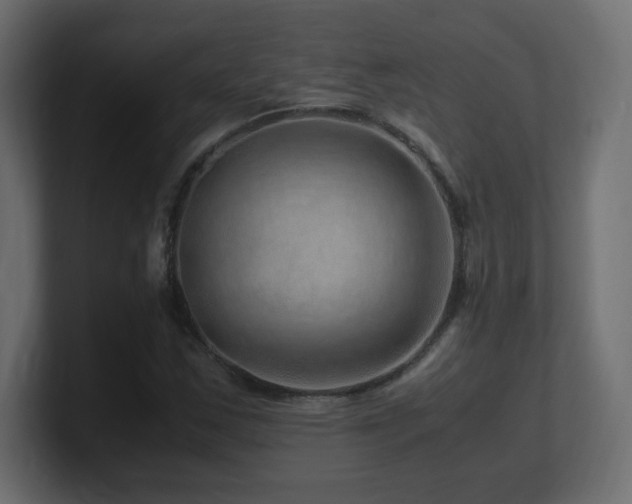 X0000101101163200806261506