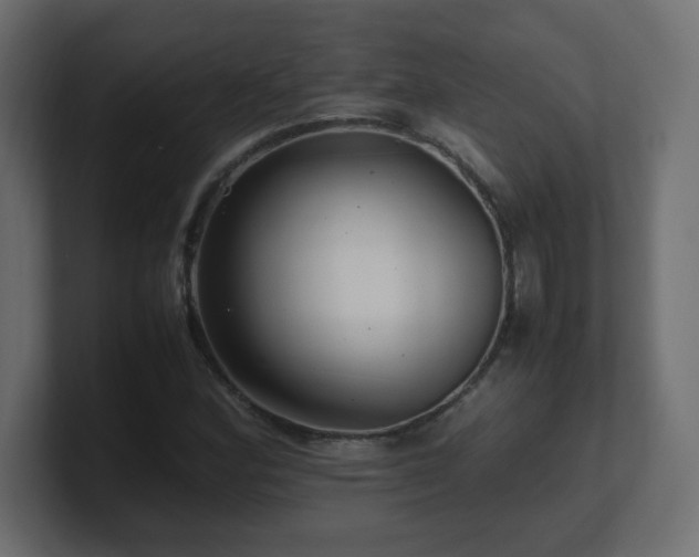 X0000101101164200806261506