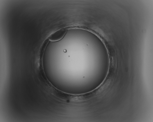 X0000101101165200806261506
