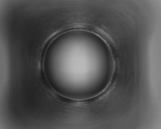 X0000101101166200806261506