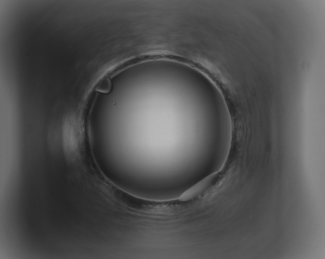 X0000101101167200806261506