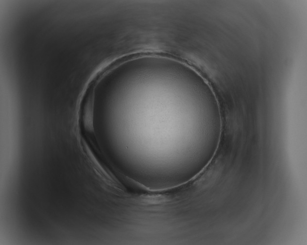 X0000101101168200806261506