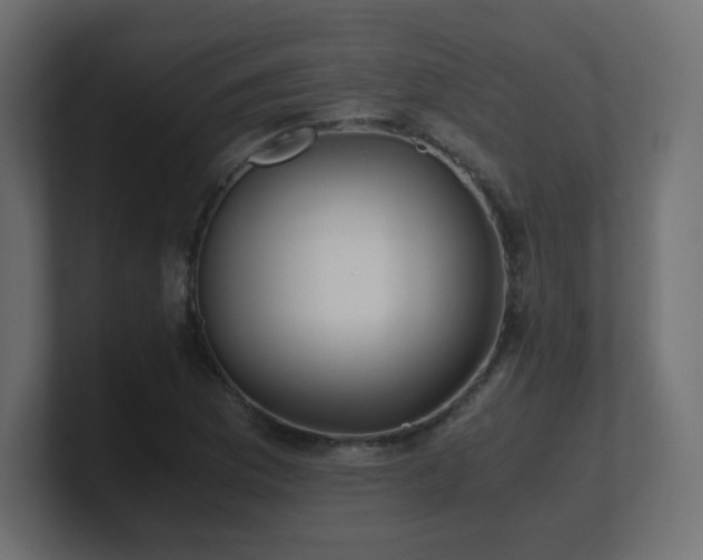 X0000101101169200806261506