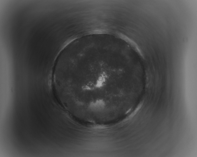 X0000101101170200806261506