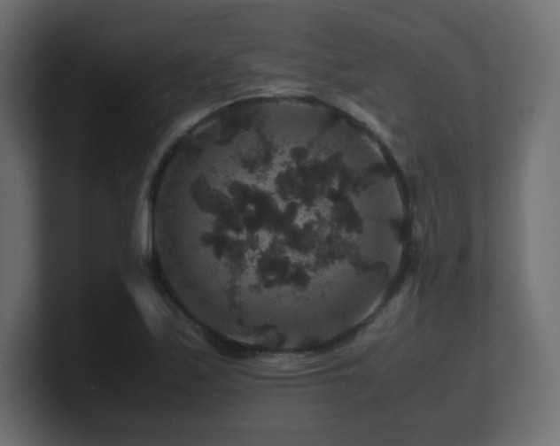 X0000101101171200806261506