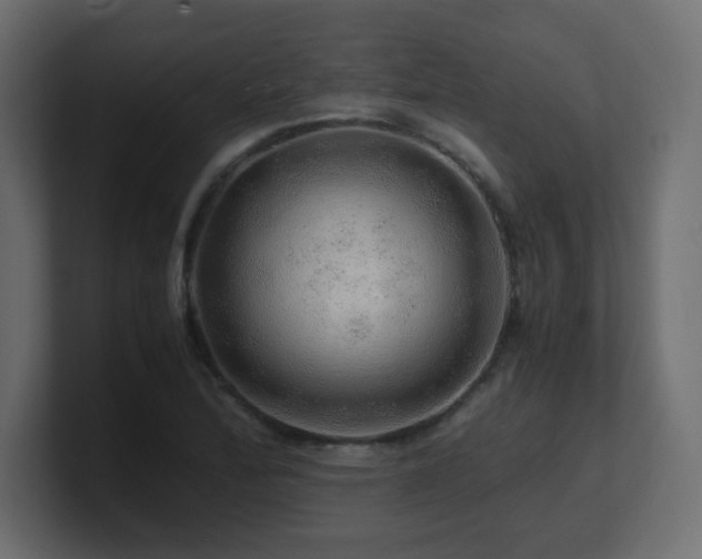X0000101101172200806261506