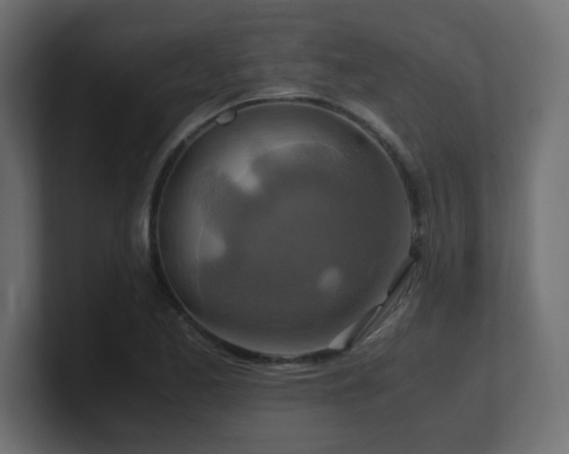 X0000101101173200806261506